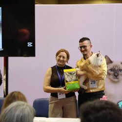 Međunarodna izložba mačaka u Rijeci