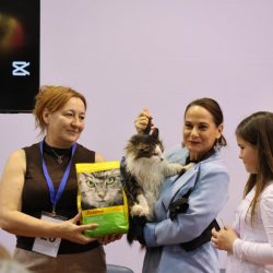 Međunarodna izložba mačaka u Rijeci
