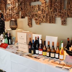 Wine vip event u Bonaviji