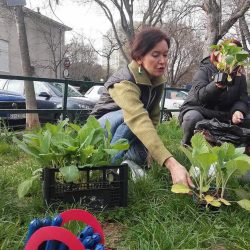 Ekoakcija na Kozali