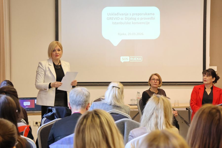 S konferencije o Istambulskoj konvenciji
