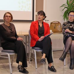 S konferencije o Istambulskoj konvenciji