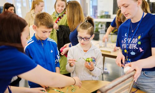 Stem piknik 2025