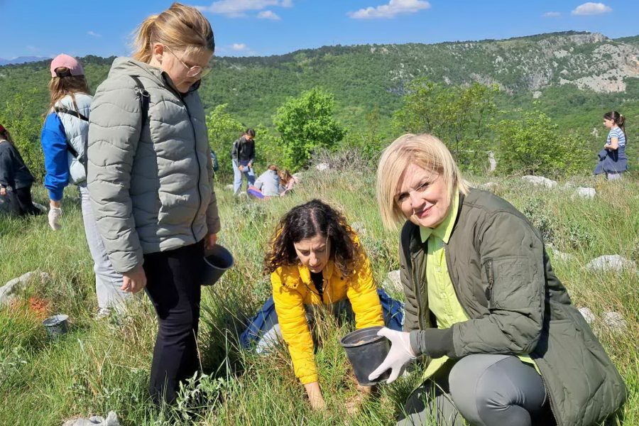 Sadnja borova na Svilnom za Dan planeta Zemlje