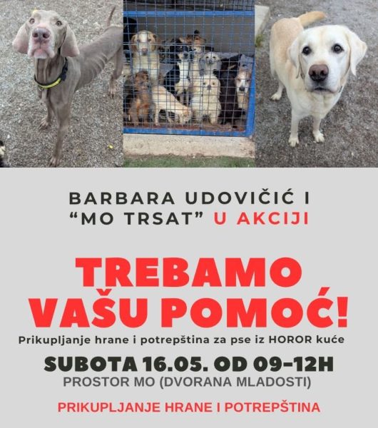 Akcija za pse s Učke Trsat