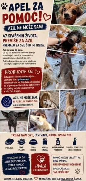Akcija za pse s Učke