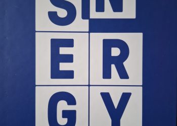 Sinergy