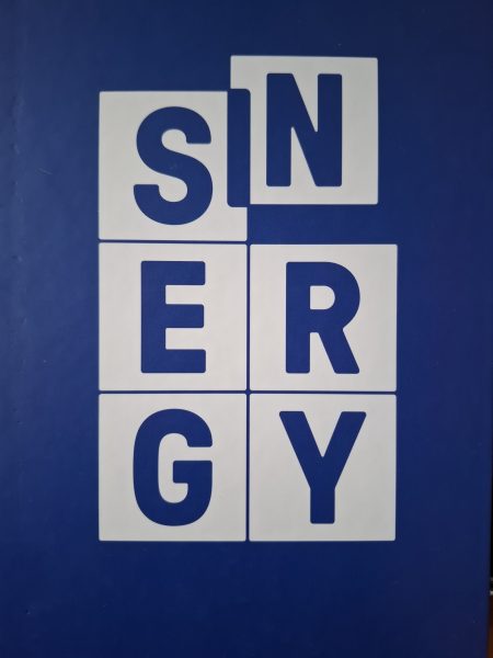 Projekt Sinergy