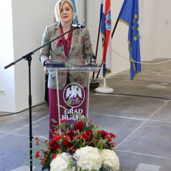 Svečana akademija povodom Dana državnosti
