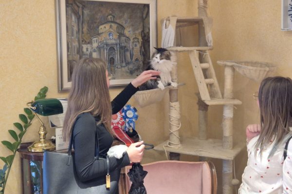 Učenici Prometne škole kod zamjenika Vivode