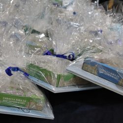 Prijem za djecu s imenom zaštitnika grada, sv. Vida