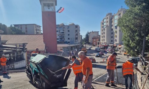 Rotor Podvežica
