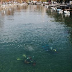EUBeachCleanu - More spaja: Rječina 2026