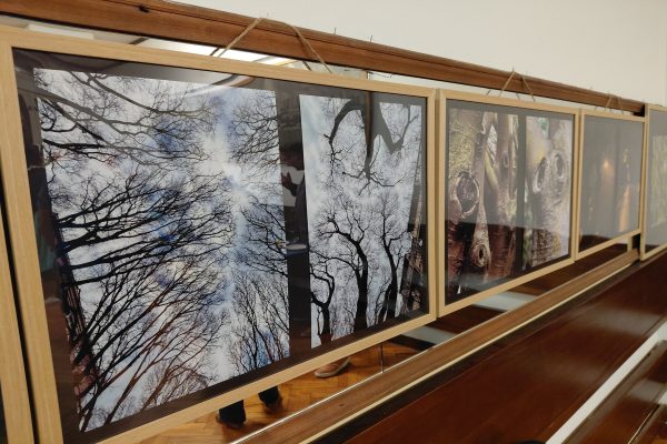 Fotografije autora Dinka Jurjevića