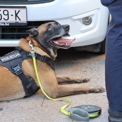 Policija pokazna vježba Korzo