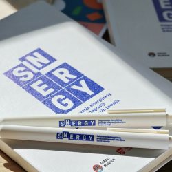 Projekt Sinergy
