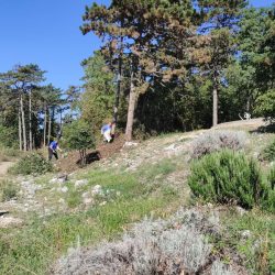 Uređenje zelene površine oko rekreativne zone - Ekološka akcija Grbci 2026.