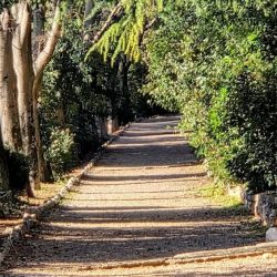 Park heroja