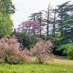 Park heroja