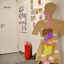 STEM izložba Erasmus dan